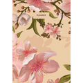 Planner: Start Anytime Undated 52 Week Planner For Efficiency & Productivity, Organizer for Goal-setting, Task Management, Budg - Paperback