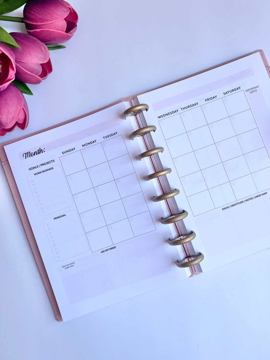 2026 Weekly and Monthly Discbound Planner