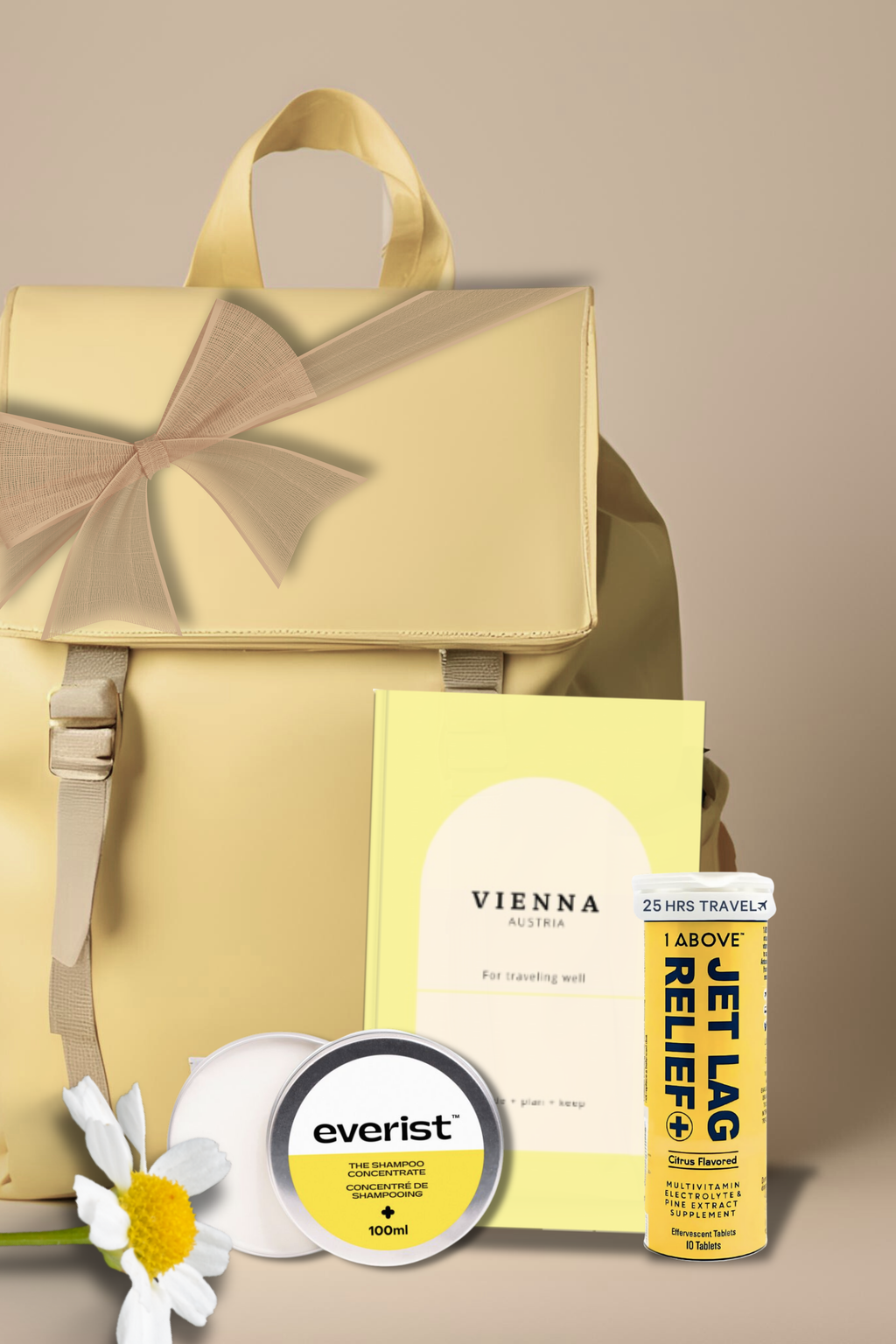 Vienna Trip Planner: Austria Printed Guide Book for an Elegant Time